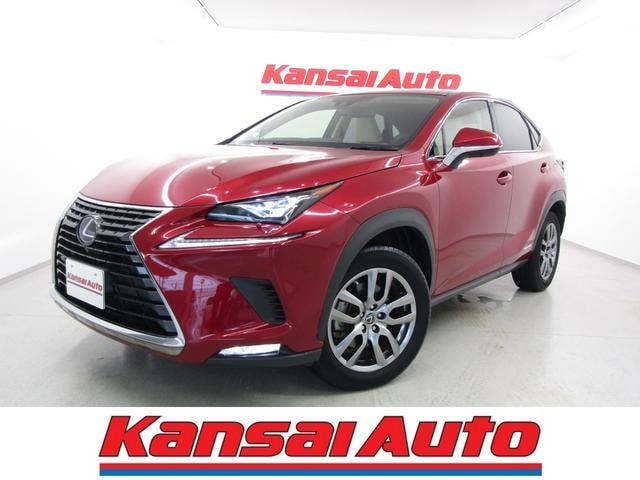 Lexus NX 2020 — фото автомобиля 1