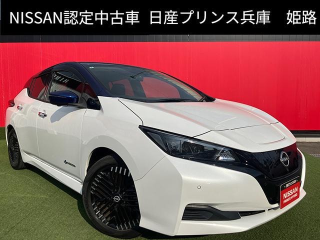 Nissan LEAF 2022 — фото автомобиля 1