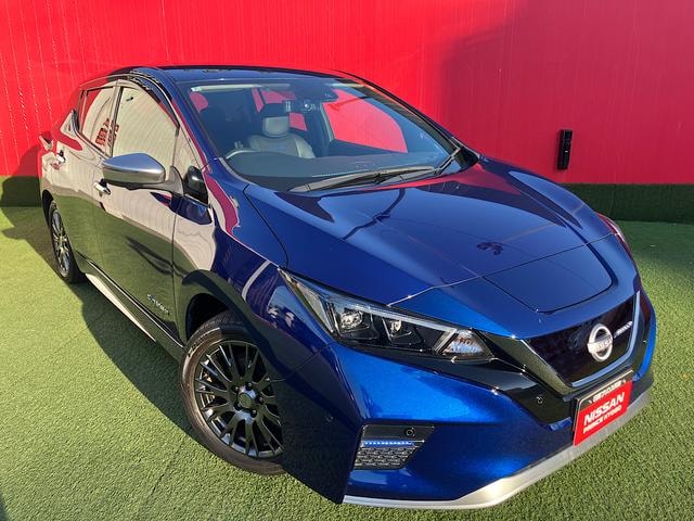 Nissan LEAF 2022 — фото автомобиля 1