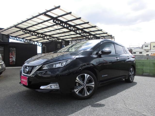 Nissan LEAF 2019 — фото автомобиля 1