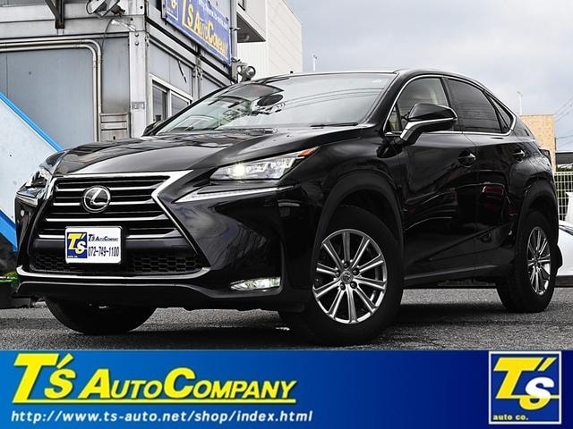Lexus NX 2015 — фото автомобиля 1