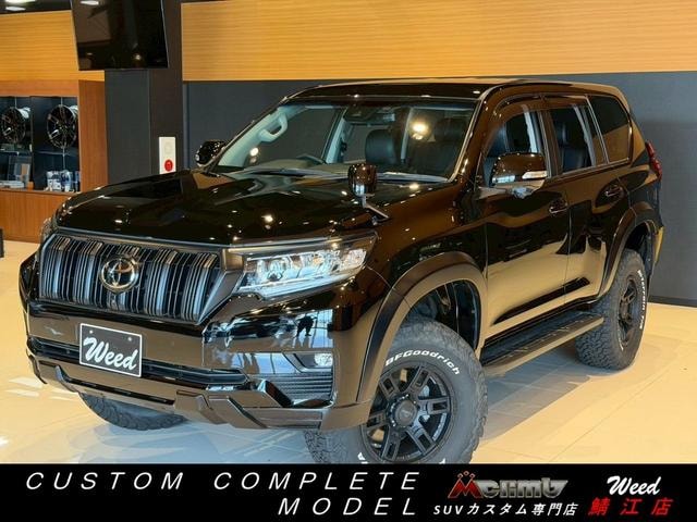 Toyota LAND CRUISER PRADO 2021 — фото автомобиля 1