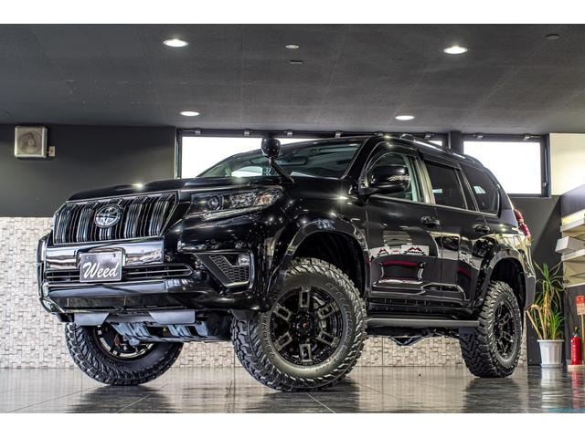 Toyota LAND CRUISER PRADO 2022 — фото автомобиля