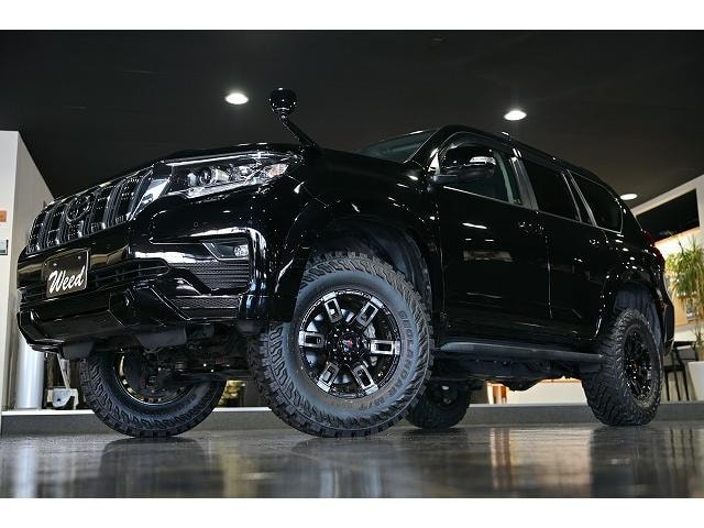 Toyota LAND CRUISER PRADO 2022 — фото автомобиля