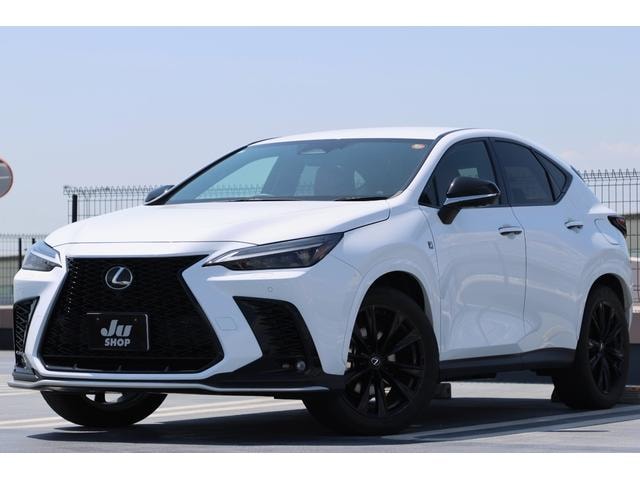 Lexus NX 2023 — фото автомобиля 1