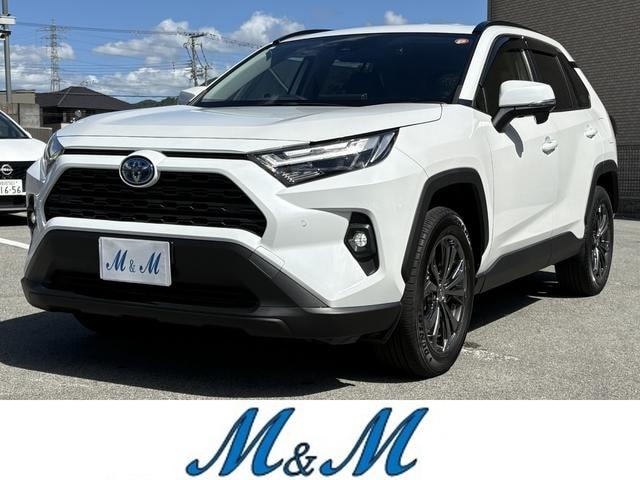 Toyota RAV4 2023 — фото автомобиля 1