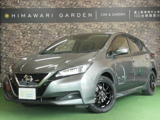 Nissan LEAF 2019 — фото автомобиля 1