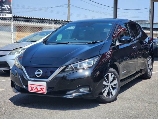 Nissan LEAF 2021 — фото автомобиля 1