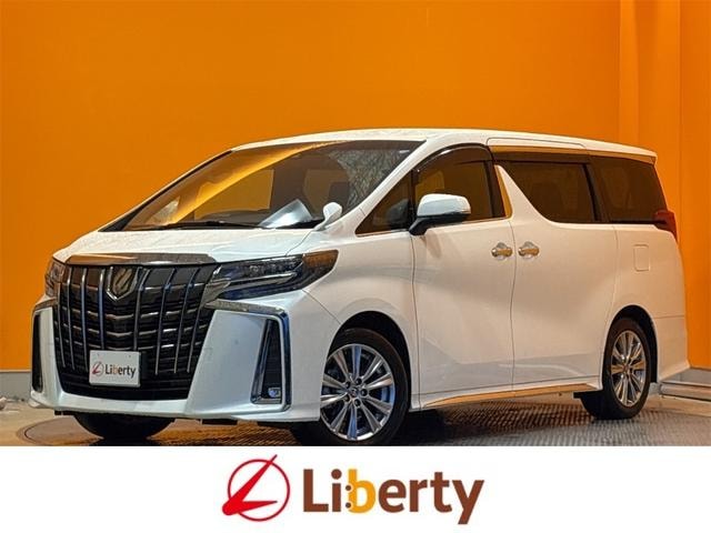 Toyota ALPHARD 2022 — фото автомобиля