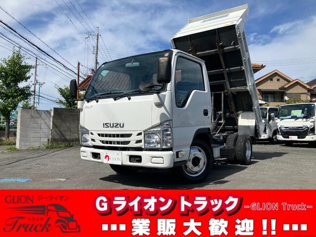 Isuzu ELF TRUCK 2019 — фото автомобиля 1
