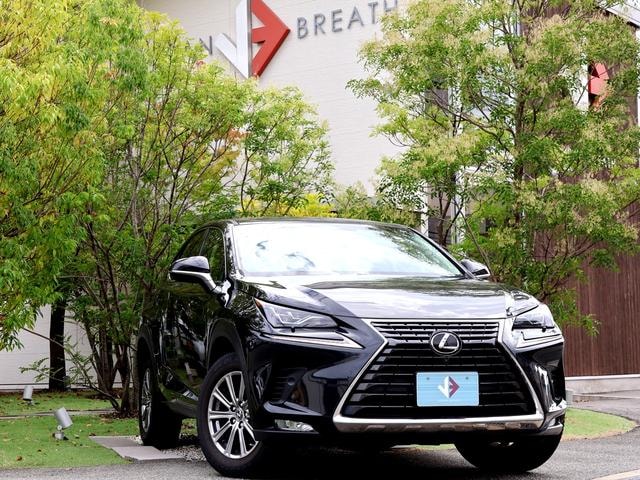 Lexus NX 2018 — фото автомобиля 1