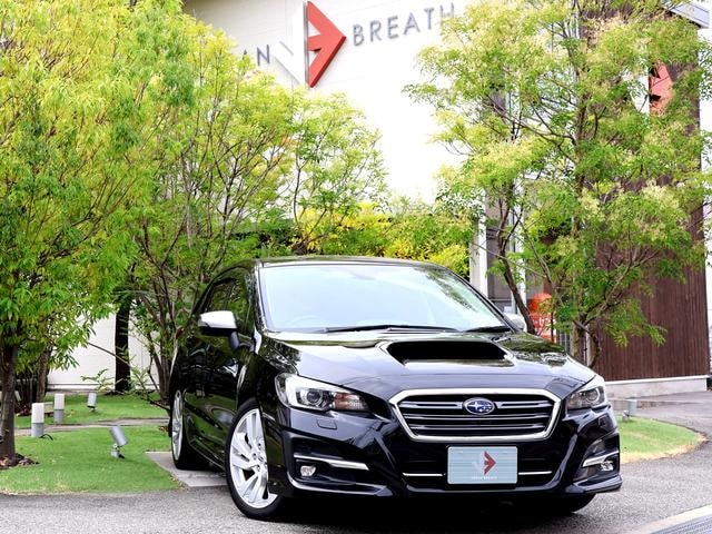 Subaru LEVORG 2019 — фото автомобиля 1