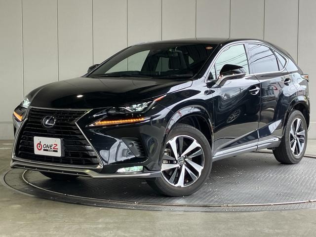 Lexus NX 2021 — фото автомобиля 1