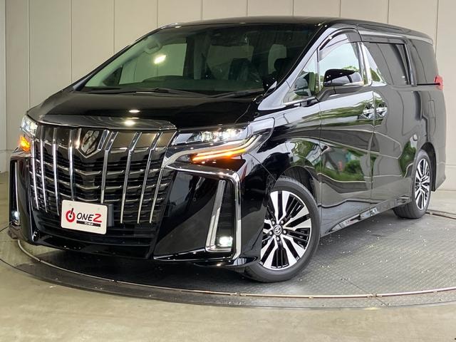 Toyota ALPHARD 2019 — фото автомобиля