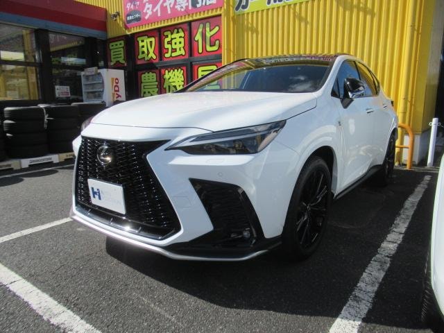 Lexus NX 2024 — фото автомобиля