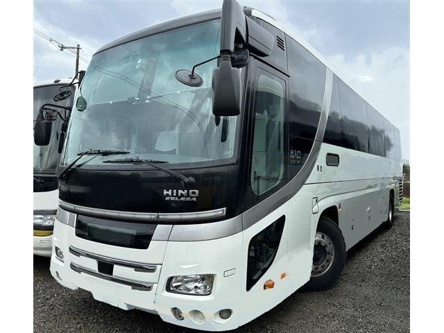 Hino SELEGA 2014 — фото автомобиля 1