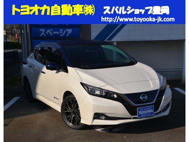 Nissan LEAF 2017 — фото автомобиля 1