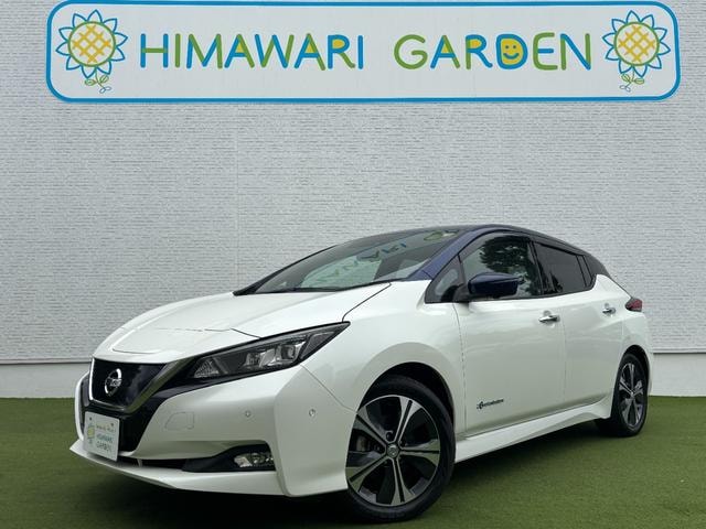 Nissan LEAF 2018 — фото автомобиля 1