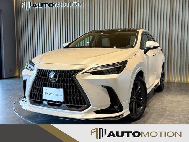 Lexus NX 2024 — фото автомобиля 1