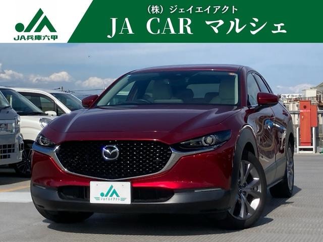 Mazda CX-30 2019 — фото автомобиля 1