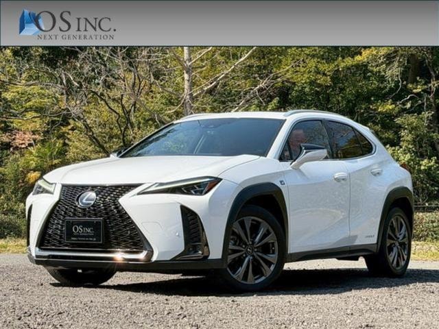 Lexus UX 2019 — фото автомобиля 1