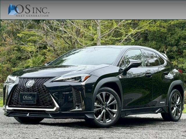Lexus UX 2019 — фото автомобиля 1