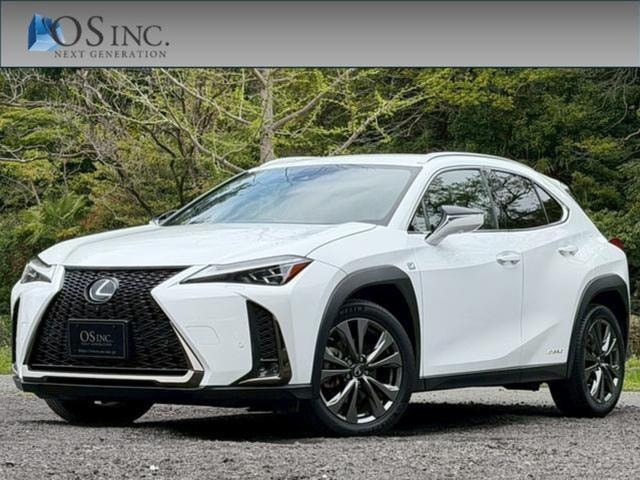 Lexus UX 2019 — фото автомобиля 1
