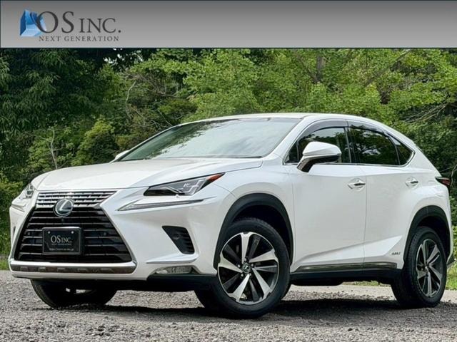 Lexus NX 2018 — фото автомобиля 1