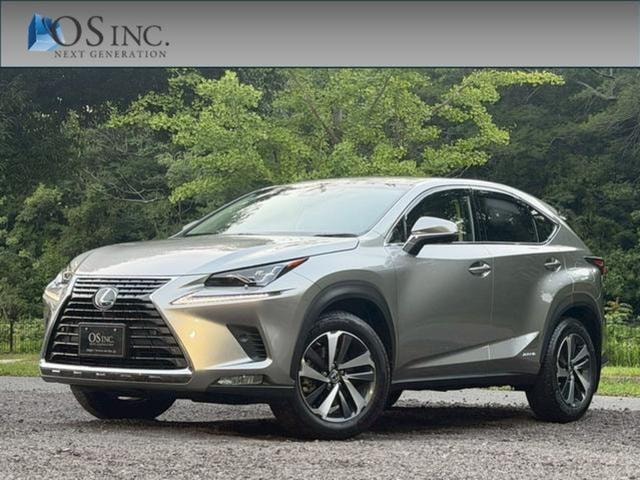 Lexus NX 2019 — фото автомобиля 1