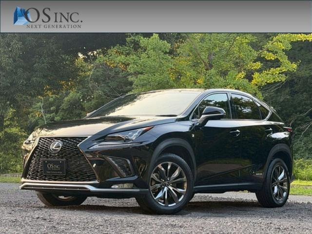 Lexus NX 2018 — фото автомобиля 1