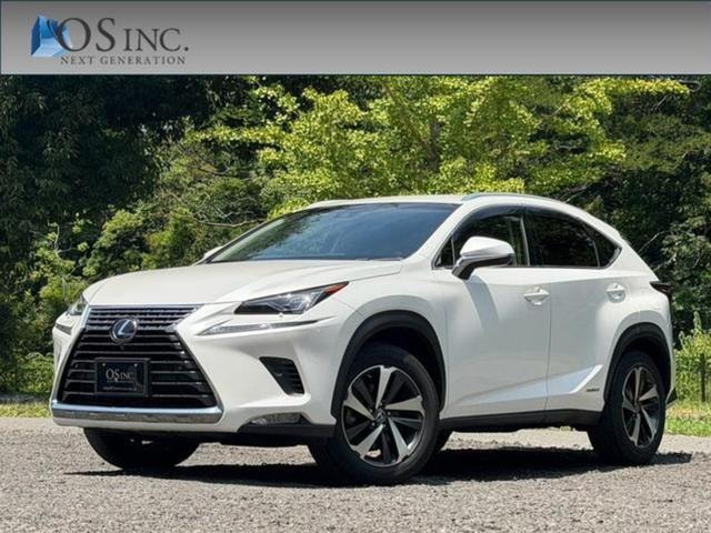 Lexus NX 2018 — фото автомобиля 1