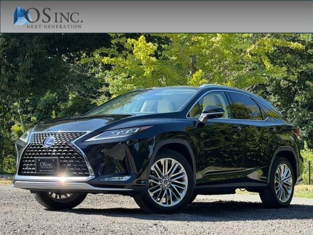Lexus RX 2019 — фото автомобиля 1
