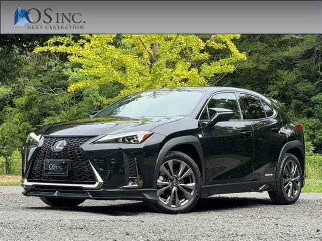 Lexus UX 2021 — фото автомобиля 1