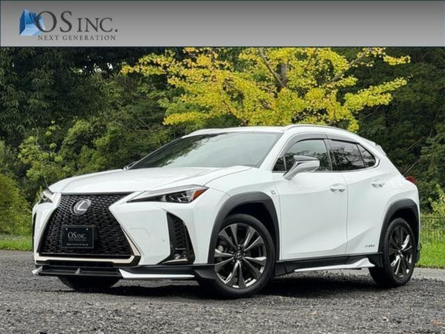 Lexus UX 2019 — фото автомобиля