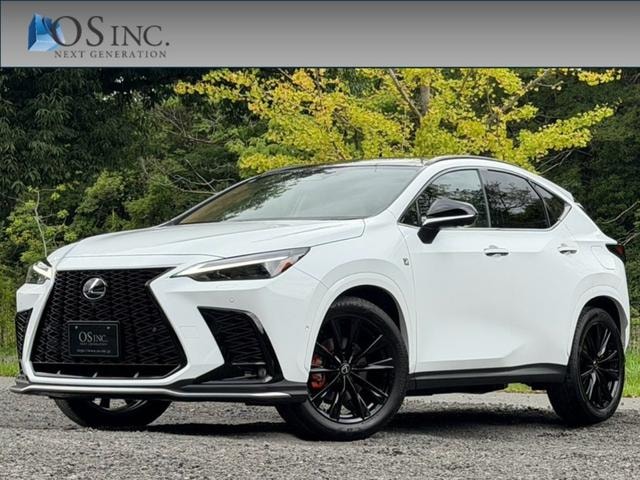 Lexus NX 2024 — фото автомобиля 1