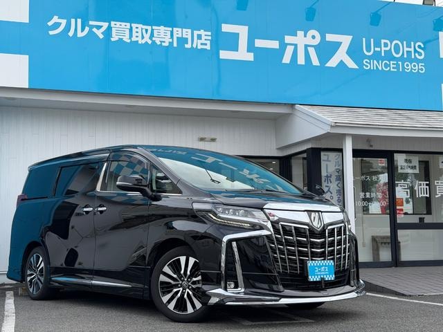 Toyota ALPHARD 2023 — фото автомобиля