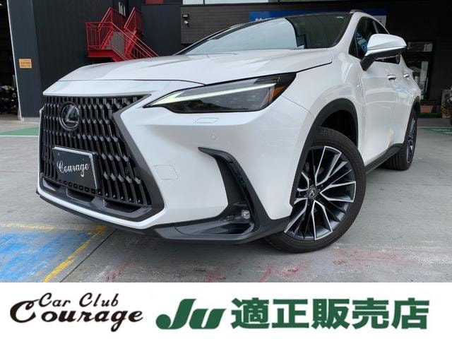 Lexus NX 2023 — фото автомобиля 1