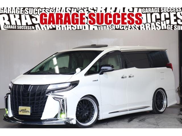 Toyota ALPHARD HYBRID 2019 — фото автомобиля