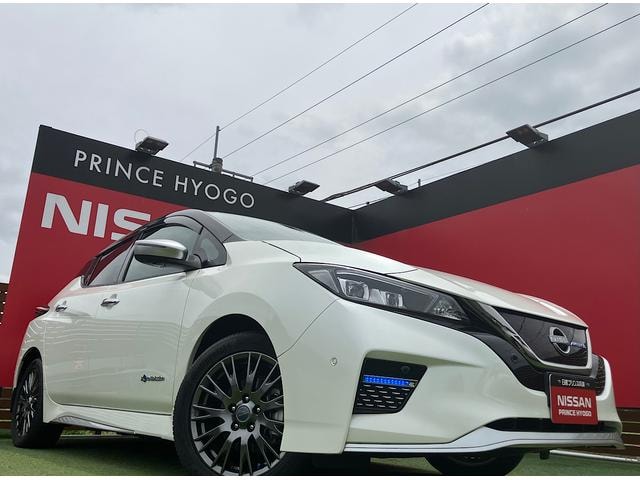 Nissan LEAF 2022 — фото автомобиля 1