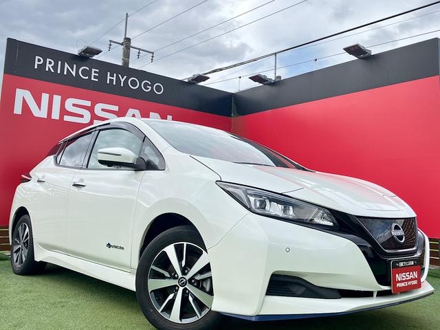 Nissan LEAF 2021 — фото автомобиля 1