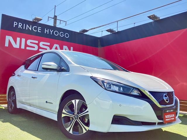 Nissan LEAF 2020 — фото автомобиля 1
