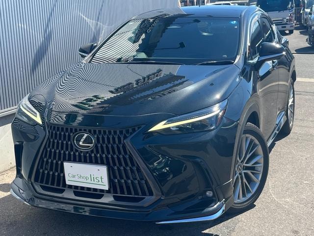 Lexus NX 2023 — фото автомобиля 1