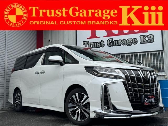 Toyota ALPHARD 2019 — фото автомобиля 1