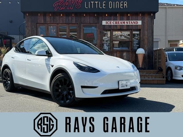 Tesla MODEL Y 2023 — фото автомобиля 1