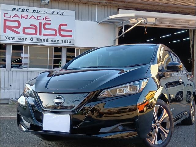 Nissan LEAF 2022 — фото автомобиля 1
