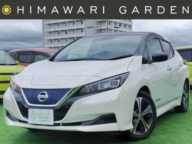 Nissan LEAF 2019 — фото автомобиля 1