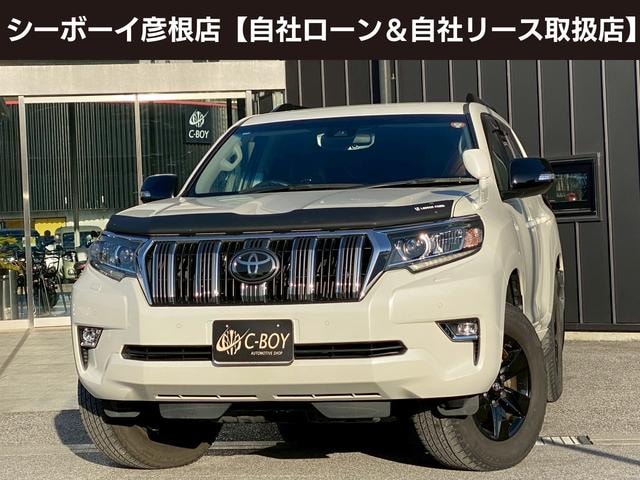 Toyota LAND CRUISER PRADO 2020 — фото автомобиля
