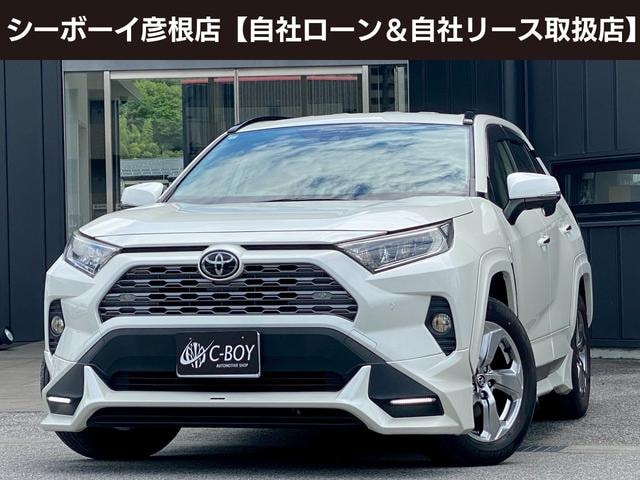 Toyota RAV4 2019 — фото автомобиля