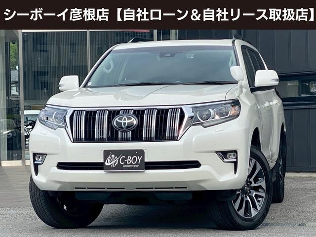 Toyota LAND CRUISER PRADO 2022 — фото автомобиля