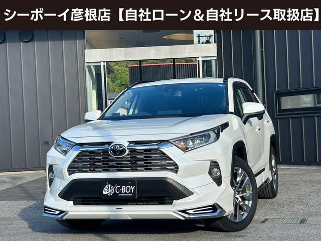 Toyota RAV4 2019 — фото автомобиля 1